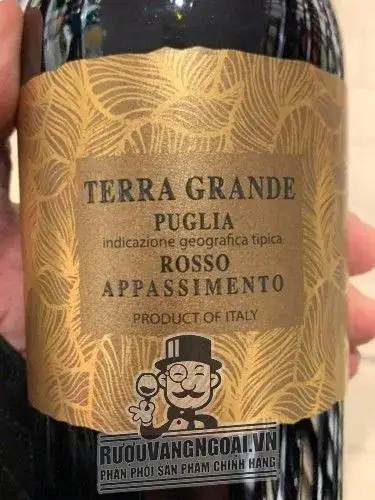 VANG Ý TERRA GRANDE PUGLIA ROSSO APPASSIMENTO