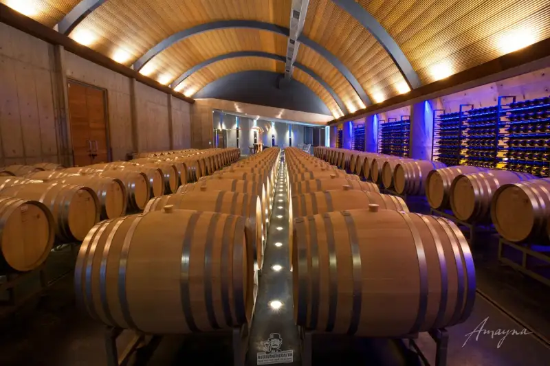 Vang Chile Amayna Pinot Noir