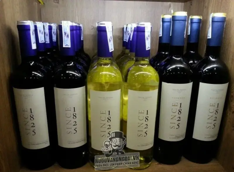 Vang Chile Since 1825 Cabernet Sauvignon