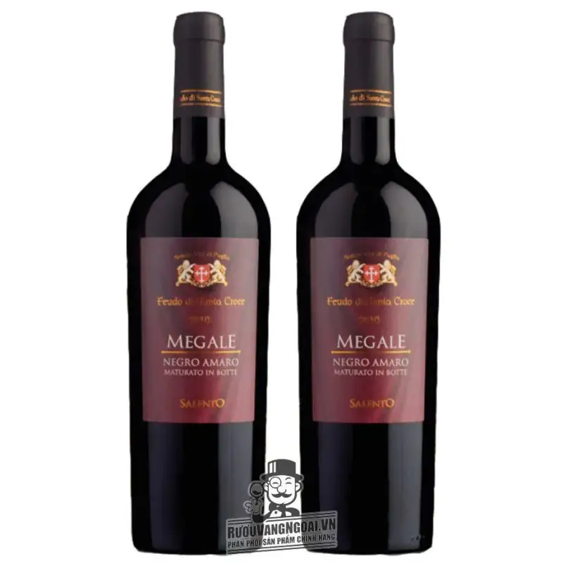 Vang Ý Megale 2016 NegroAmaro Salento Tinazzi
