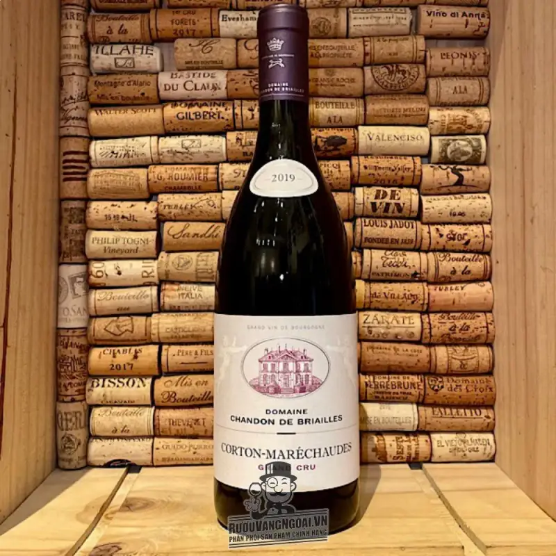 Địa chỉ bán vang phap corton marechaudes domaine chandon de briailles giá rẻ tại Sài Gòn