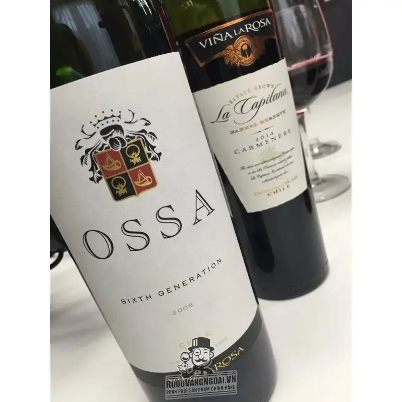 Vang Chile OSSA Icon wine