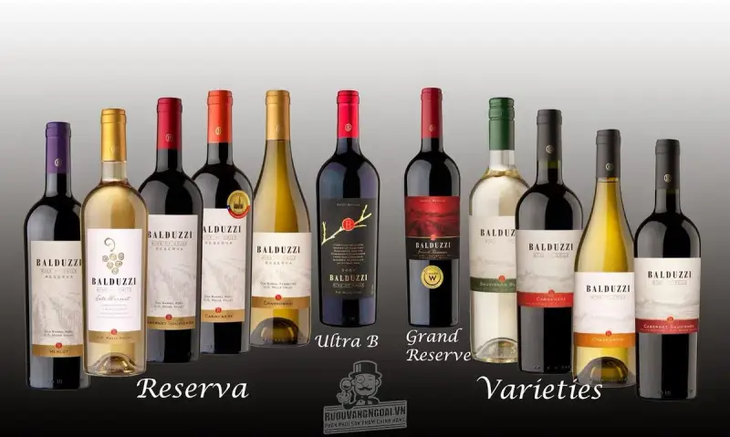 Rượu Vang Chile BALDUZZI ULTRA B
