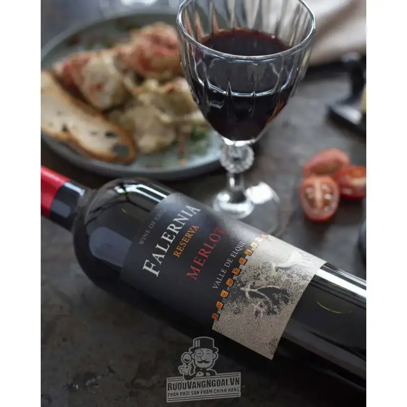 Giá vang chile falernia merlot reserva