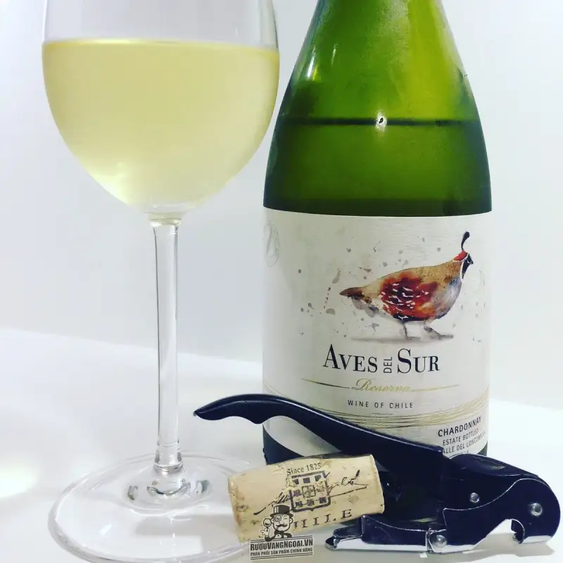 Vang Chile AVES DEL SUR RESERVA CHARDONNAY
