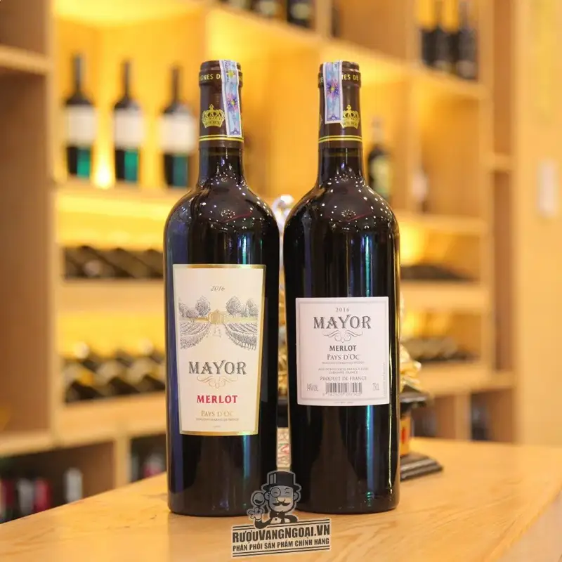 Vang Pháp Mayor Merlot 2016