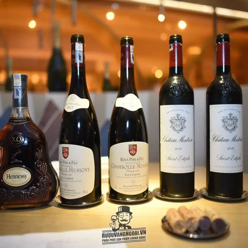 Địa chỉ mua vang phap les borniques chambolle musigny roux pere fils giá rẻ nhất