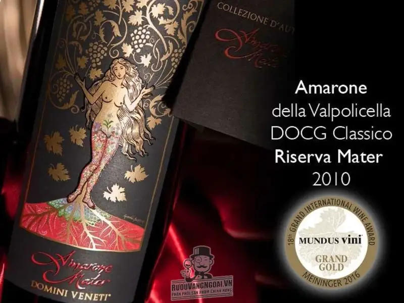 Vang Ý AMARONE MATER
