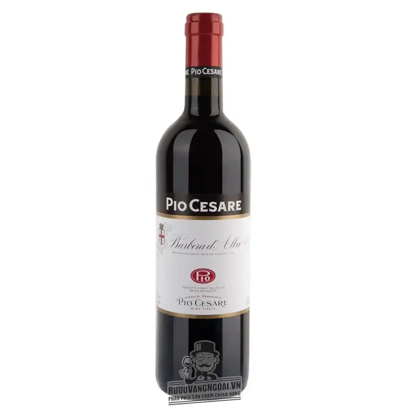 Rượu vang Pio Cesare Barbera d‘Alba