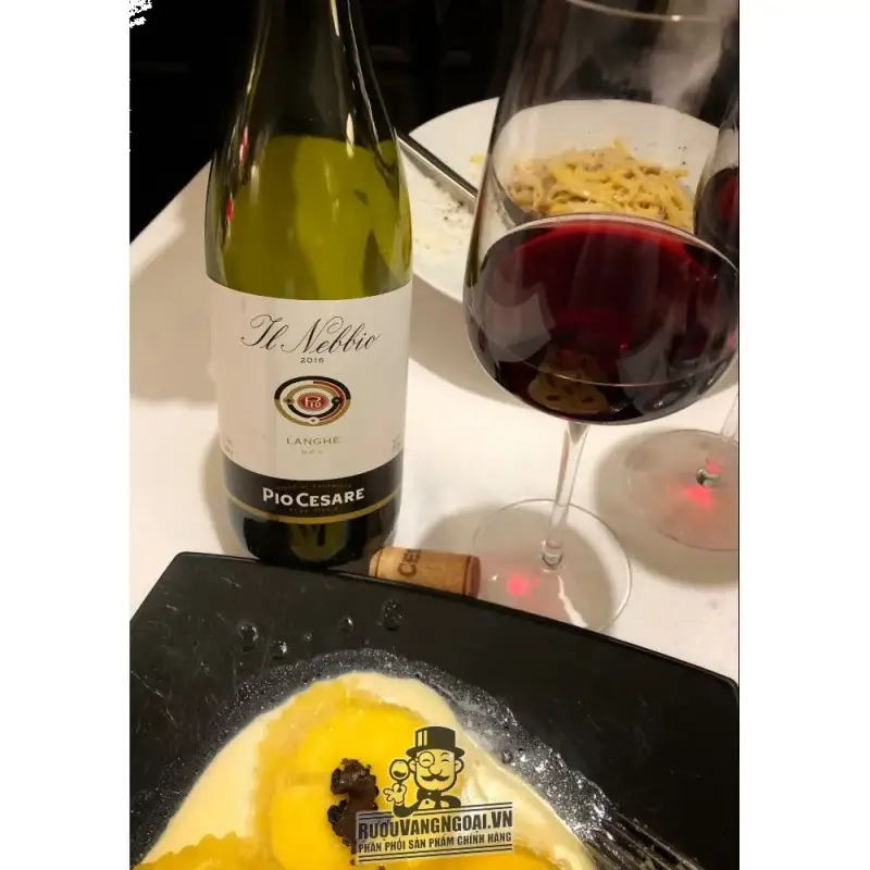 vang-y-il-nebbio-pio-cesare-langhe