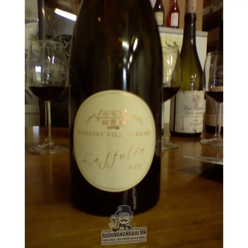 Mua vang phap l affutee domaine filliatreau saumur champigny giá rẻ tại Sài Gòn