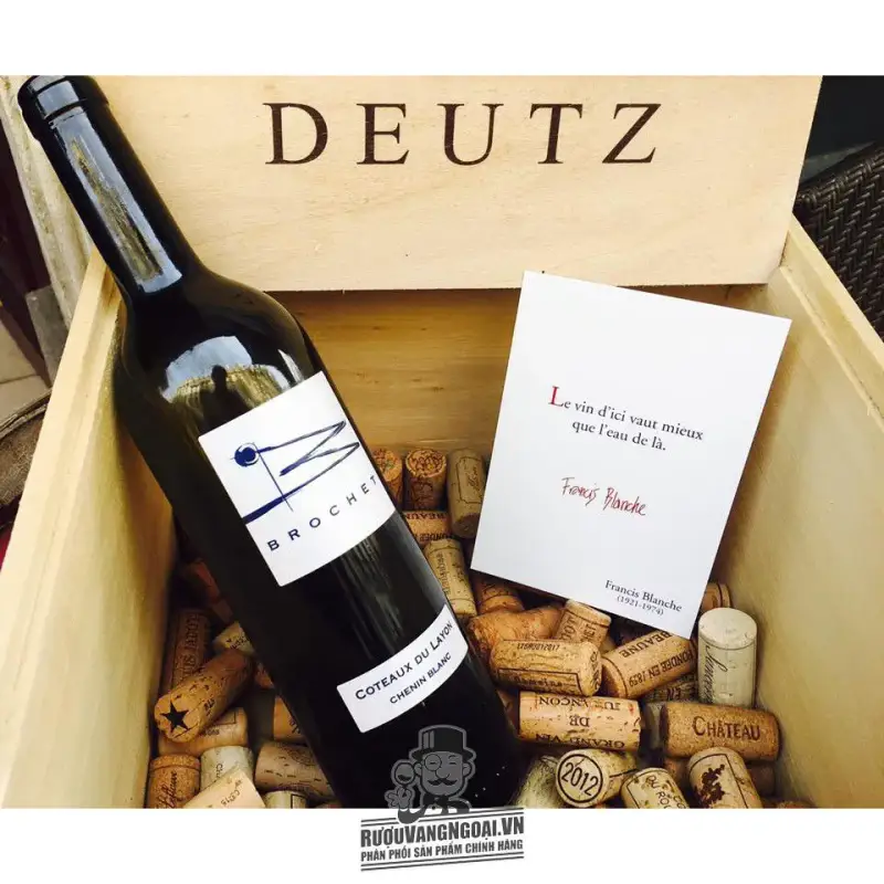 Mua vang phap brochet coteaux du layon chenin blanc ở đâu giá rẻ nhất