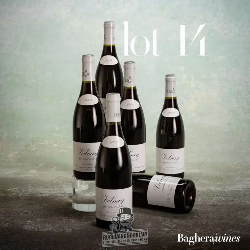 Mua vang phap gevrey chambertin maison leroy giá rẻ tại Hà Nội