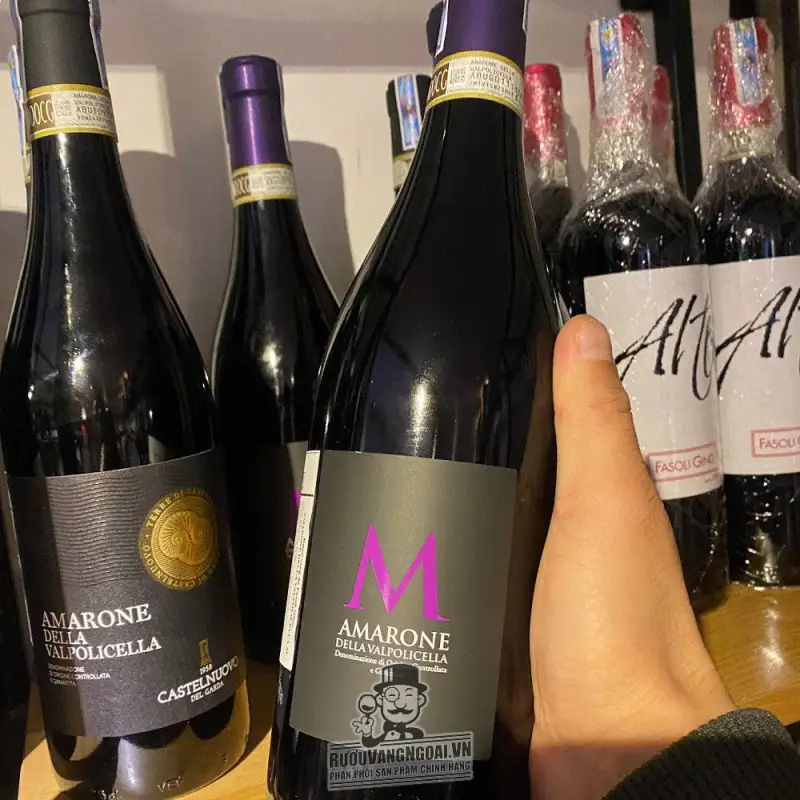 Vang Ý Amarone Della Valpolicella DOCG M Fasoli Gino Di Amadio