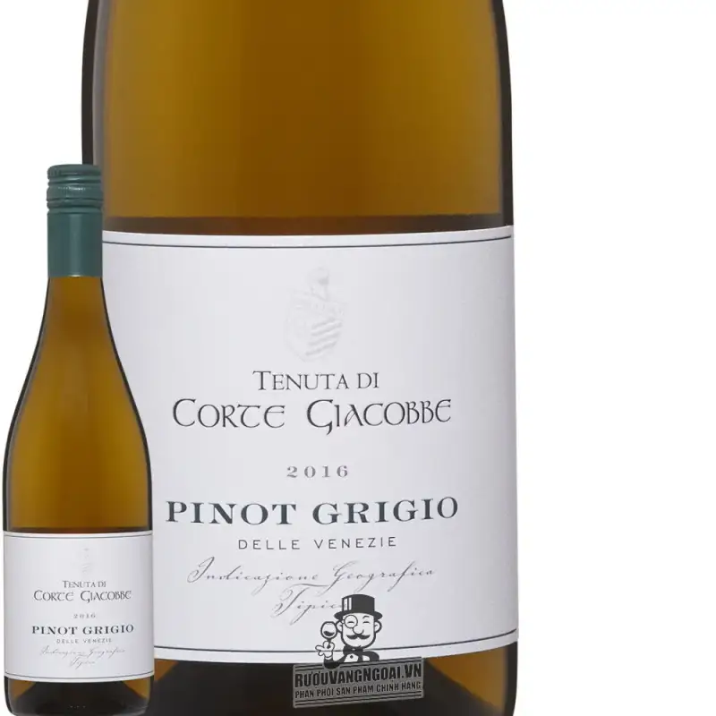 Địa chỉ bán ruou vang y trang corte giacobbe pinot grigio giá rẻ nhất
