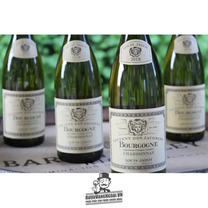 Giá vang phap couvent des jacobins bourgogne chardonnay