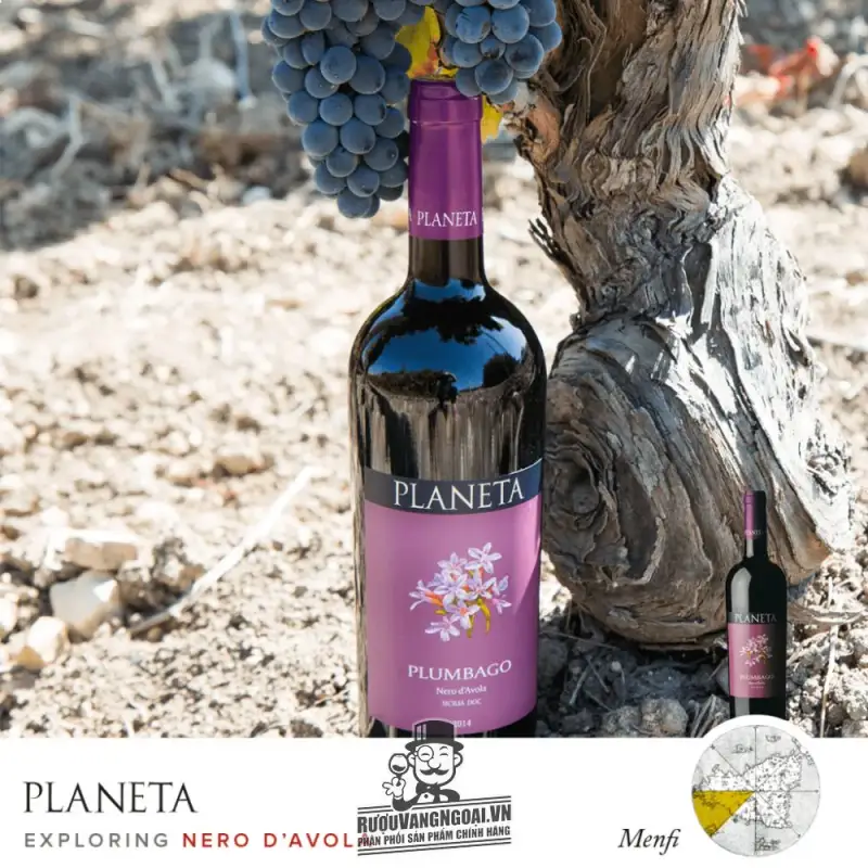 Địa chỉ bán vang y planeta plumbago nero davola sicilia giá rẻ tại Sài Gòn