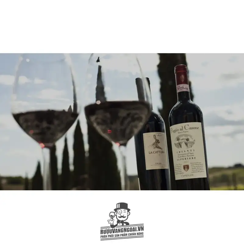 ruou vang poggio al casone chianti superiore tuscany giá bao nhiêu