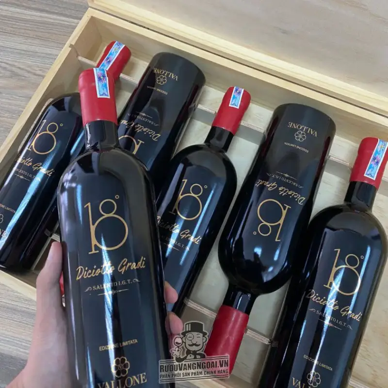 Vang Ý 18 Diciotto Gradi Vallone Salento IGT 18 độ uống ngon