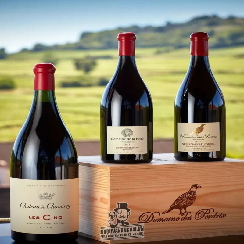 Địa chỉ bán vang phap domaine des perdrix nuits saint georges premier cru giá rẻ tại Hà Nội