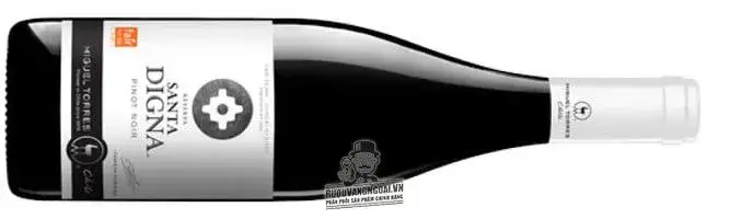 Vang Chile Santa Digna Pinot Noir