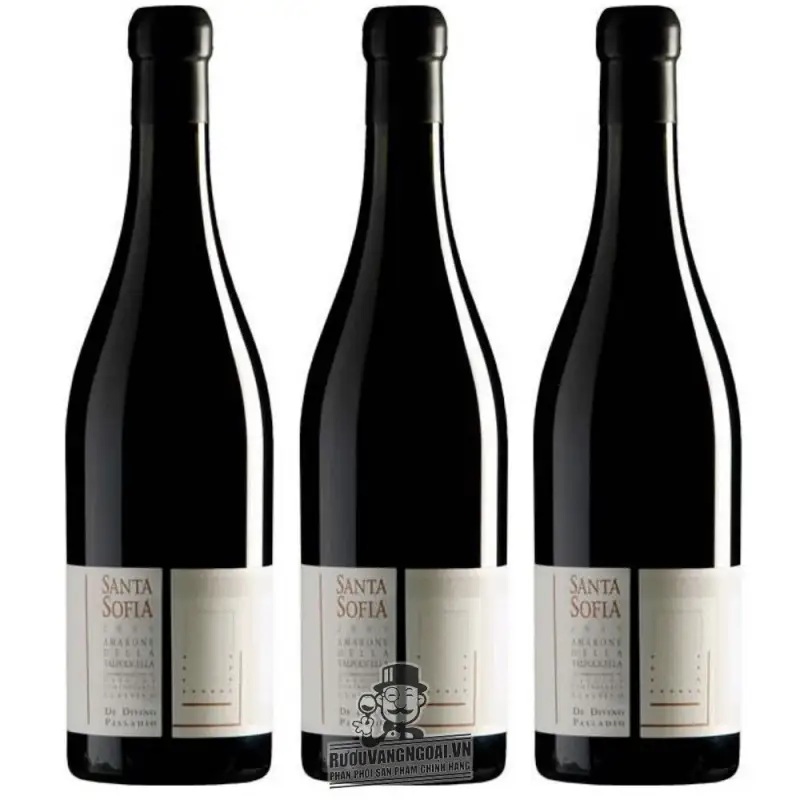 Địa chỉ bán sofia amarone della valpolicella palladio giá rẻ nhất