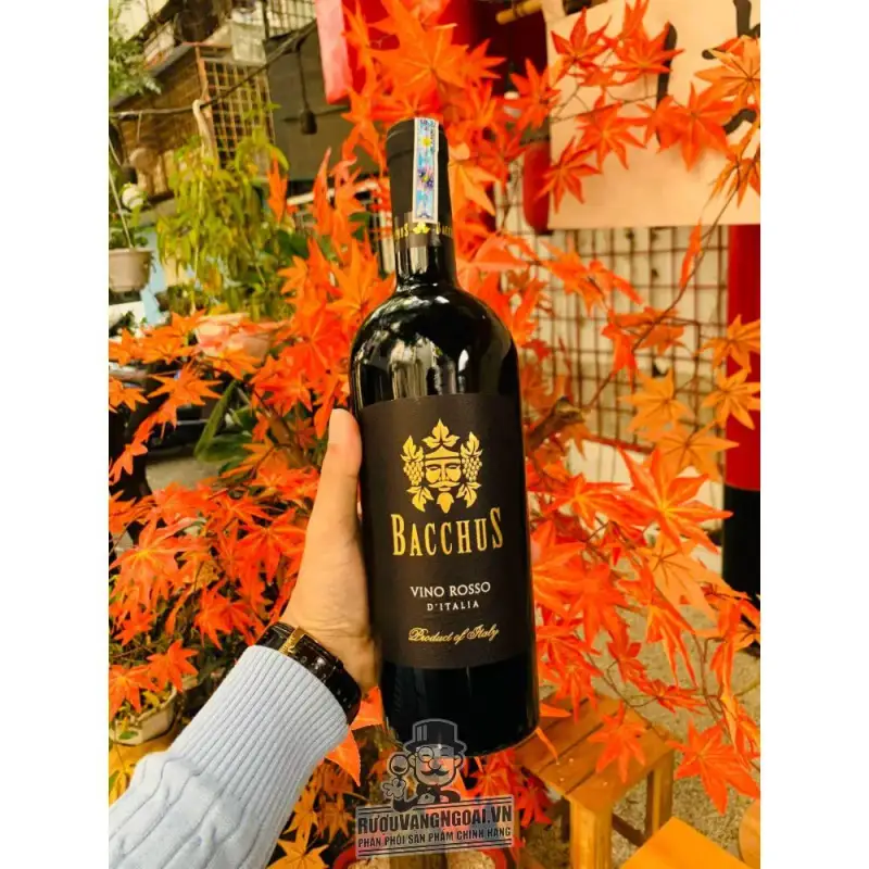 Địa chỉ mua vang y bacchus vino rosso igp gia tot giá rẻ nhất