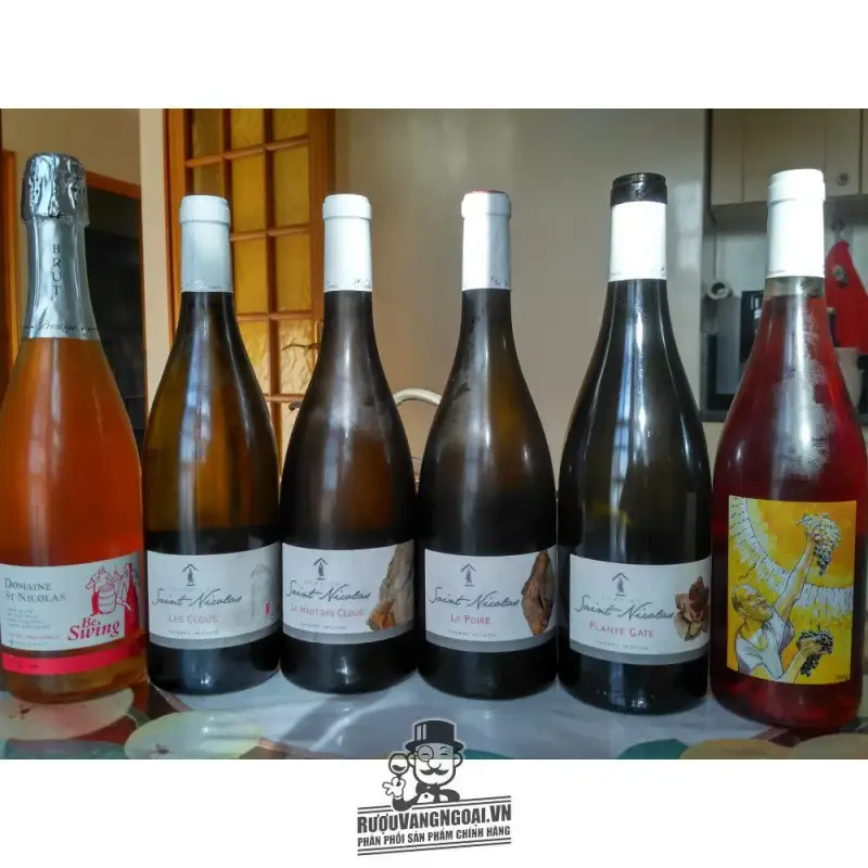 Mua vang phap domaine saint nicolas le poire giá rẻ tại Sài Gòn