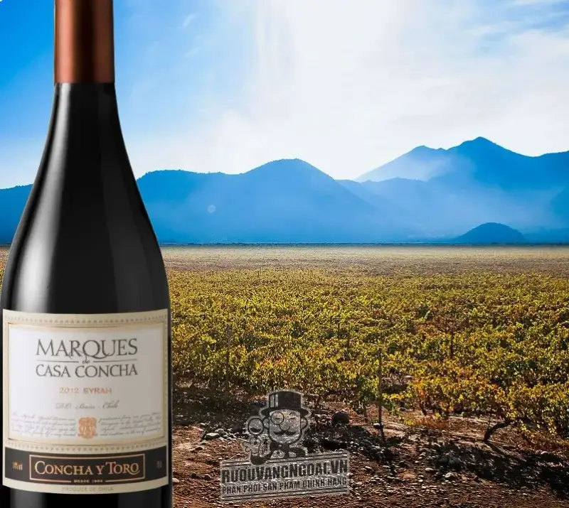 Vang Chile MARQUES CASA CONCHA SYRAH CONCHA Y TORO
