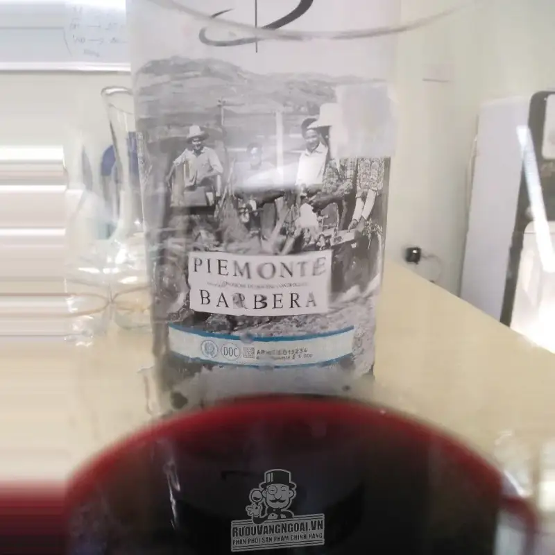 Rượu vang Bịch Ý Boeri Piemonte Barbera DOC 3L