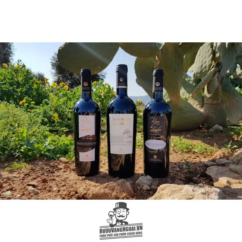 Vang Ý PASSIONE D‘ITALIA SALICE SALENTINO NEGROAMARO RISERVA