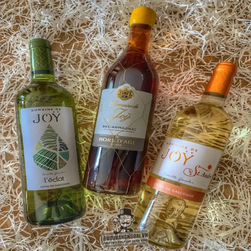 Vang Pháp Domaine de Joy l Eclat