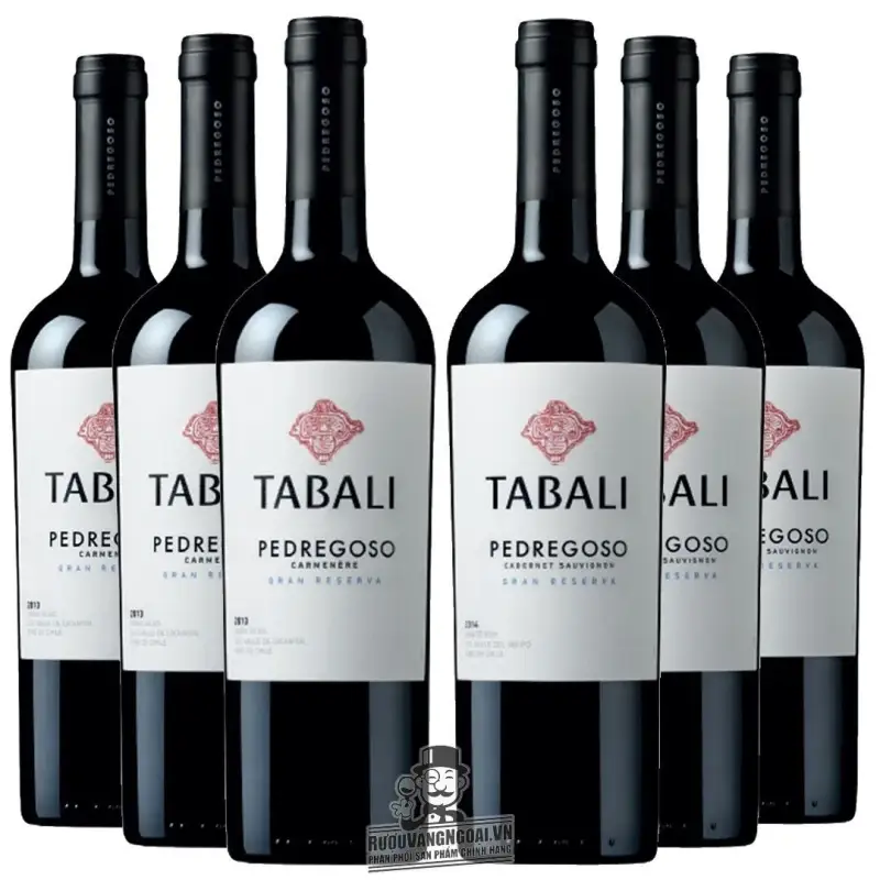 Rượu Vang Chile TABALI PEDREGOSO SYRAH