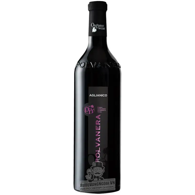 Rượu Vang Chát Aglianico Polvanera Puglia - Vang organic cao cấp