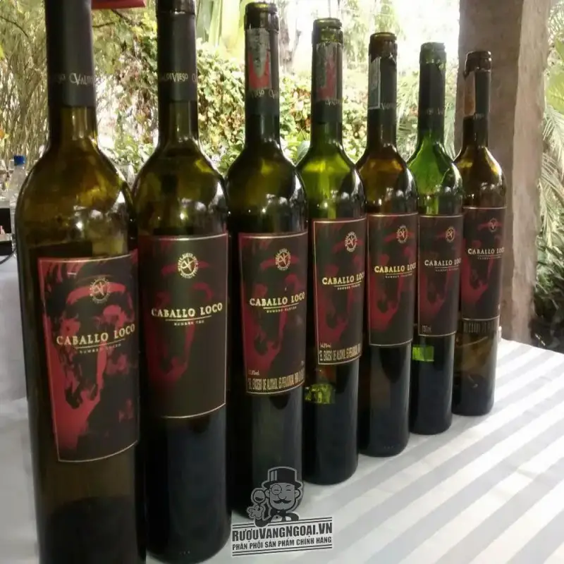 Địa chỉ bán vang chile valdivieso caballo loco number fourteen cao cap giá rẻ tại Sài Gòn