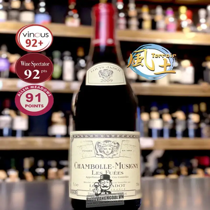 Địa chỉ bán vang phap chambolle musigny les amoureuses louis jadot giá rẻ tại Hà Nội