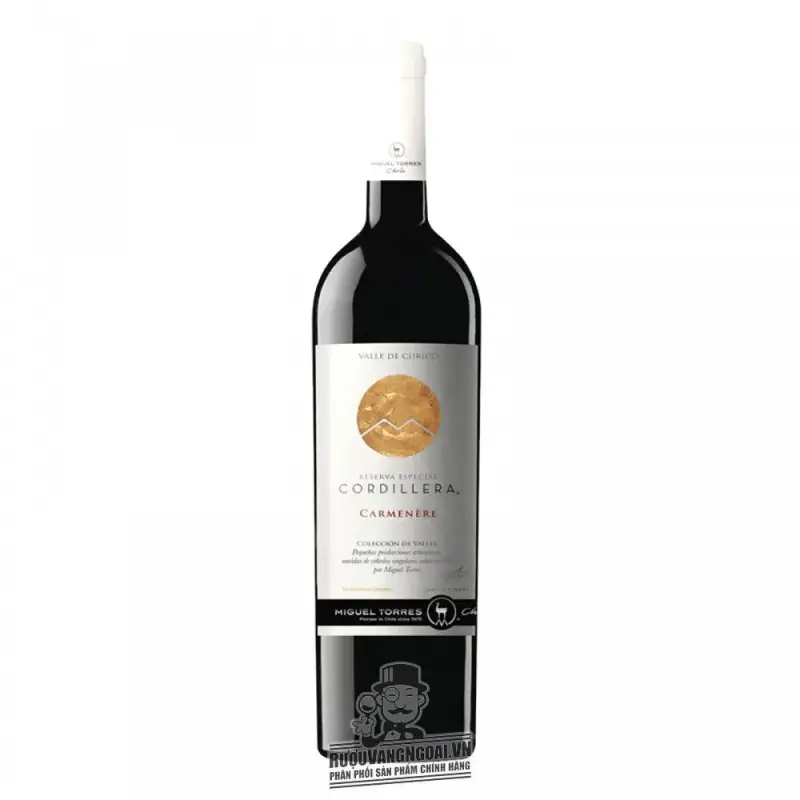 Vang Chile Cordillera Carmenere Migeul Torres