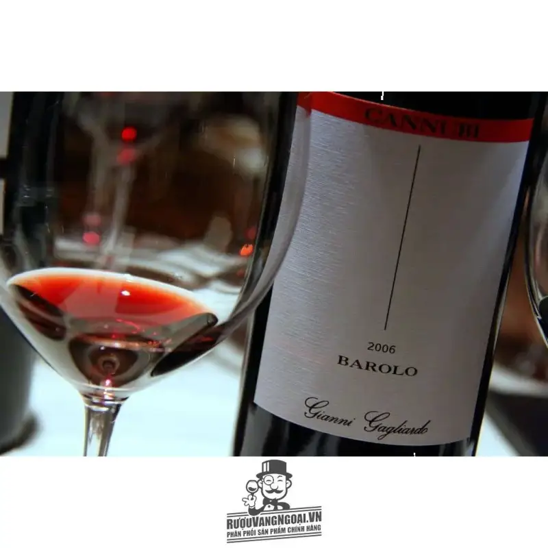 Vang Ý GIANNI GAGLIARDO BAROLO RISERVA CANNUBI