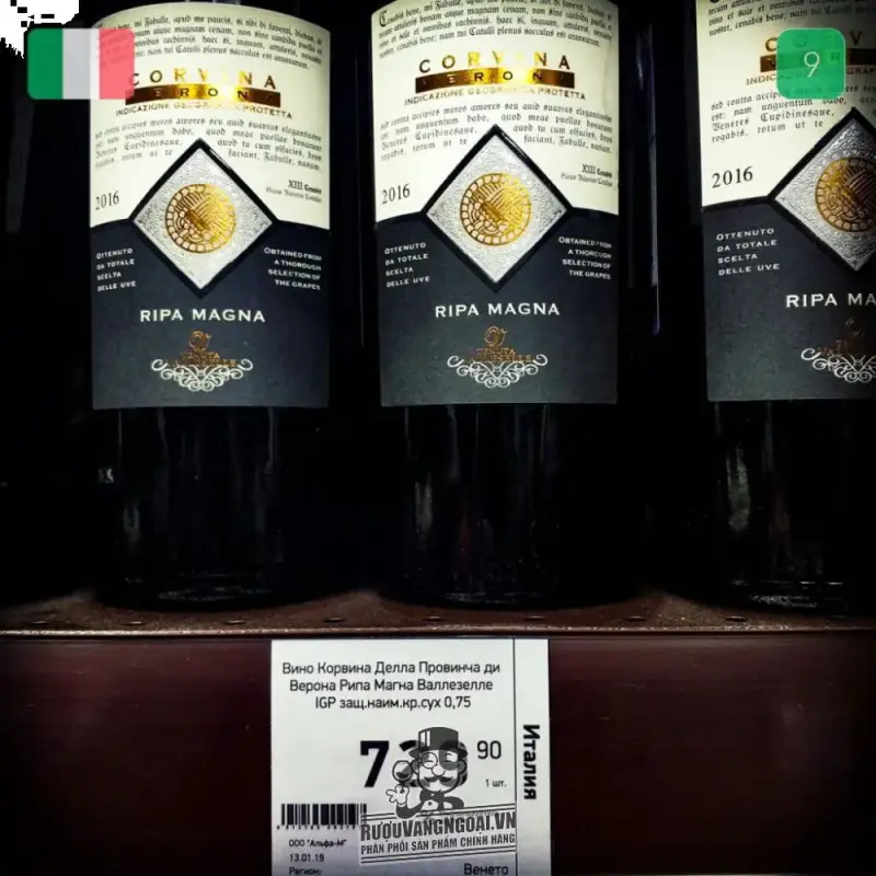 Giá ruou vang y ripa magna corvina igp verona