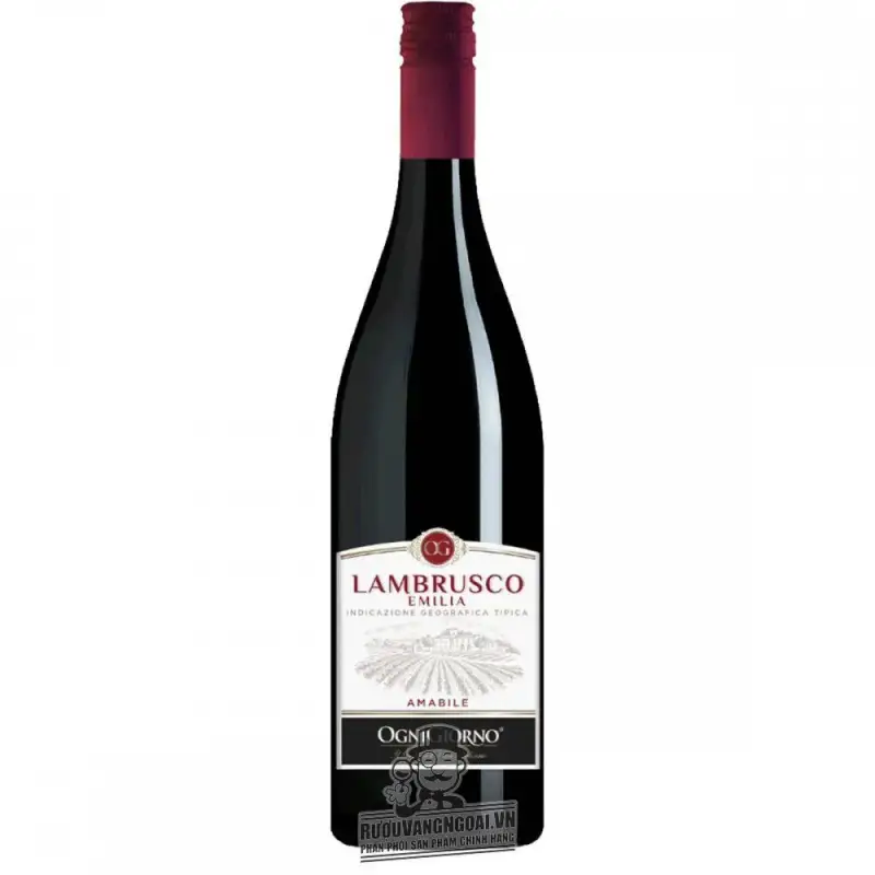 Vang Ý Lambrusco dell Emilia Ogni Giorno