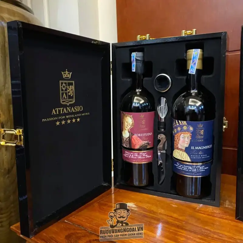 vang-y-fortitudo-attanasio