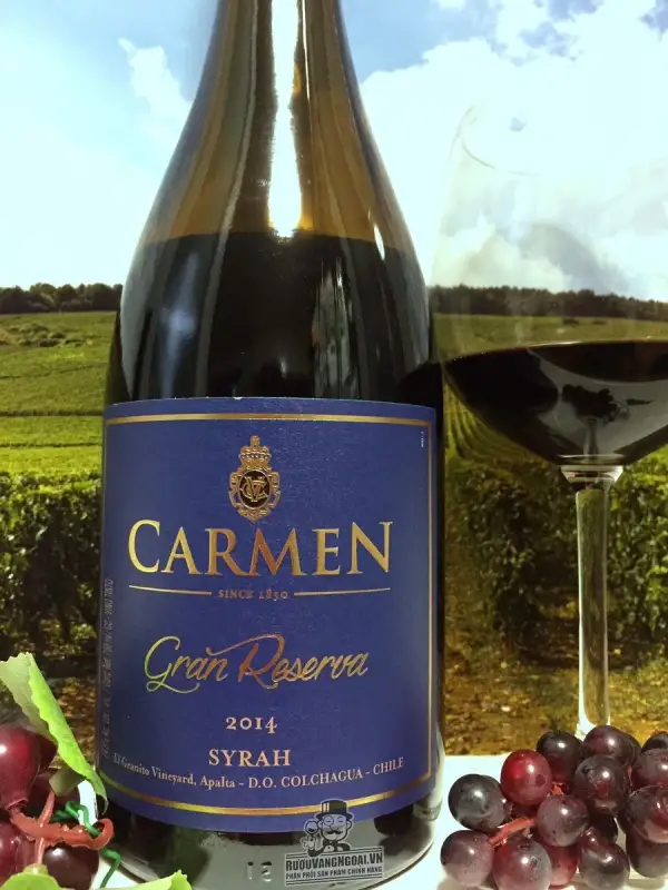 Vang Chile CARMEN GRAN RESERVA SYRAH