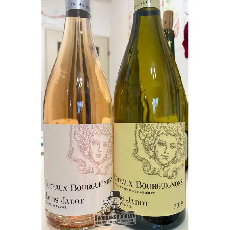 Mua vang phap louis jadot coteaux bourguignon do giá rẻ tại Hà Nội