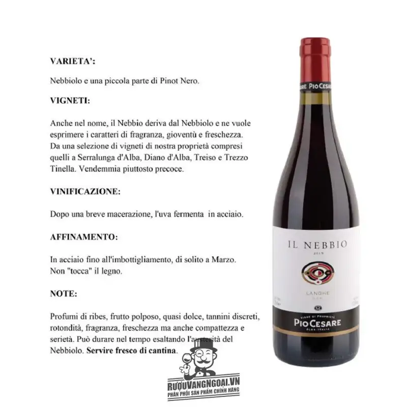 ruou vang y y pio cesare il nebbio langhe mua ở đâu giá rẻ nhất